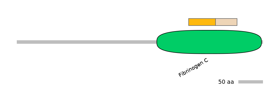 HsaINT0007989-EXC