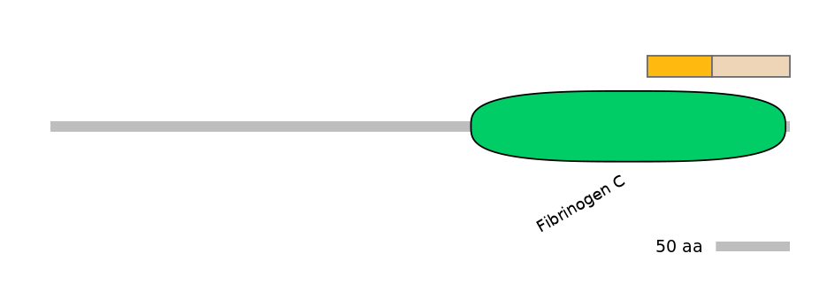 HsaINT0007990-EXC