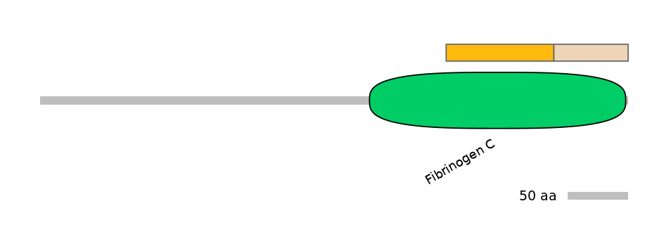 HsaINT0007995-EXC