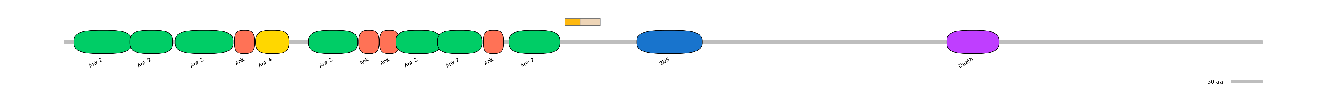HsaINT0008047-EXC