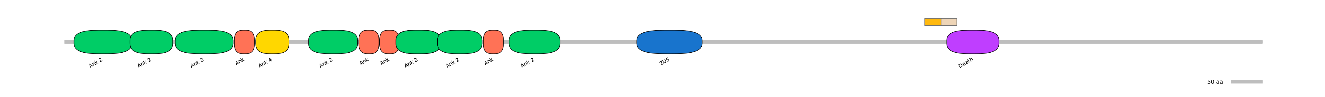 HsaINT0008060-EXC