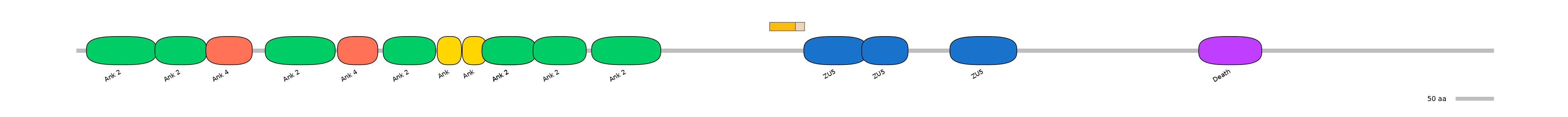 HsaINT0008076-EXC