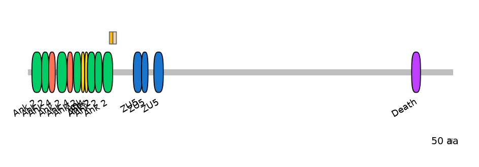 HsaINT0008093-EXC
