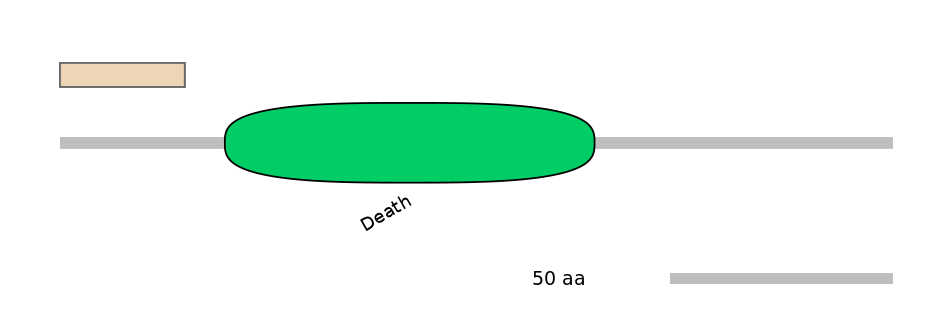 HsaINT0008162-INC