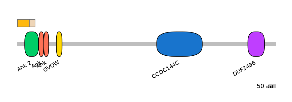 HsaINT0008638-EXC