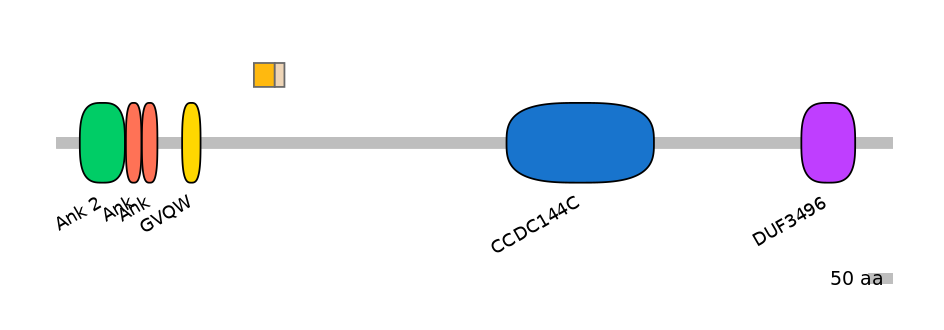 HsaINT0008639-EXC