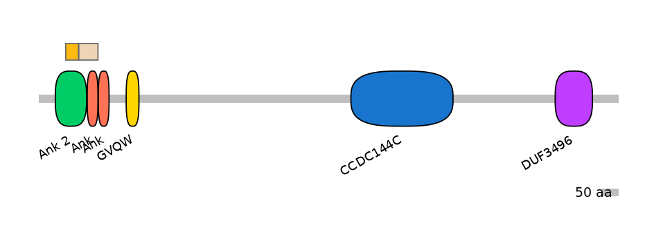 HsaINT0008649-EXC