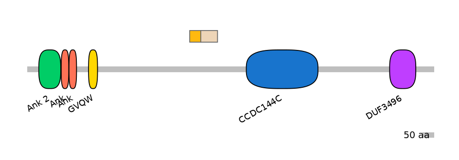 HsaINT0008650-EXC