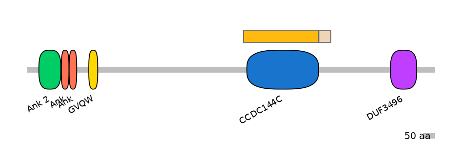 HsaINT0008654-EXC