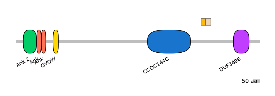HsaINT0008657-EXC