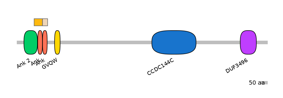 HsaINT0008660-EXC