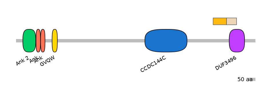 HsaINT0008661-EXC