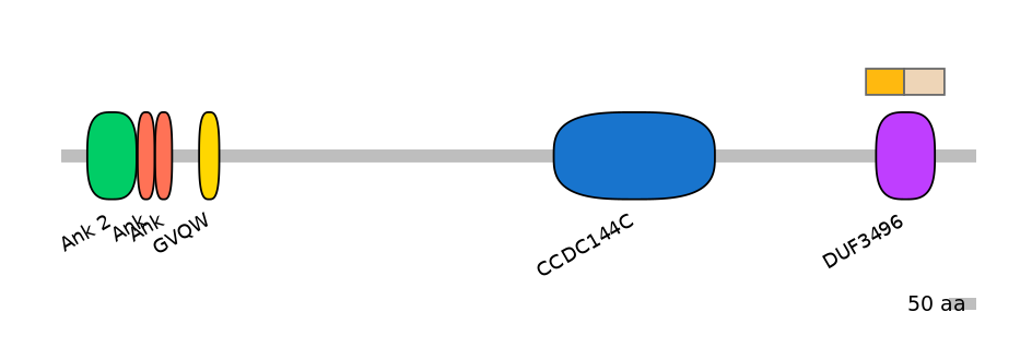 HsaINT0008662-EXC