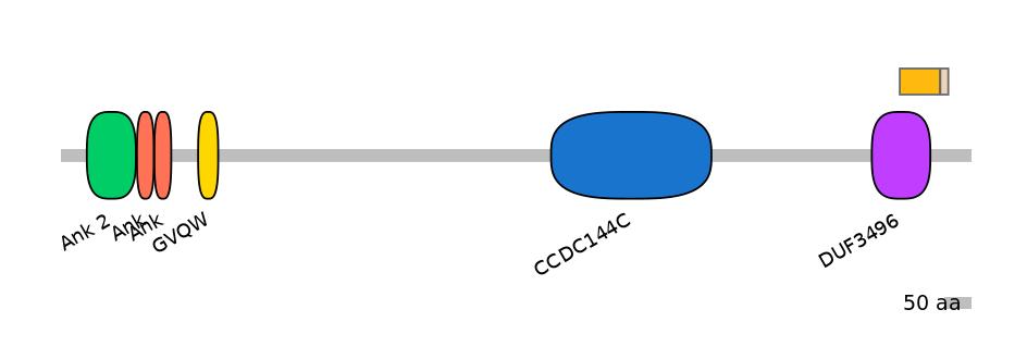 HsaINT0008663-EXC