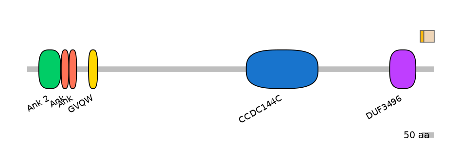 HsaINT0008664-EXC