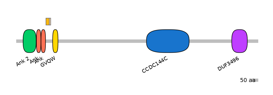 HsaINT0008666-EXC