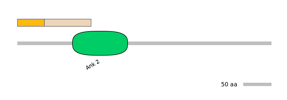 HsaINT0008882-EXC