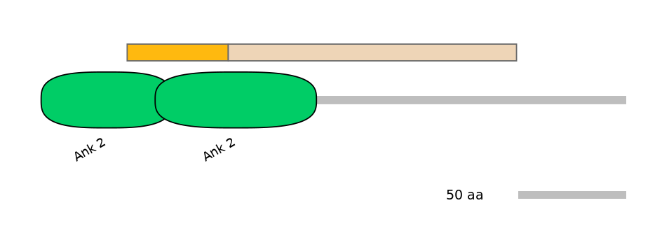 HsaINT0008883-EXC