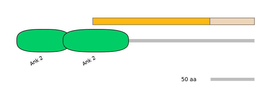 HsaINT0008884-EXC