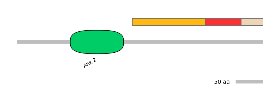 HsaINT0008884-INC