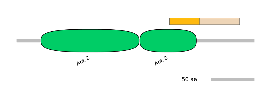 HsaINT0009185-EXC