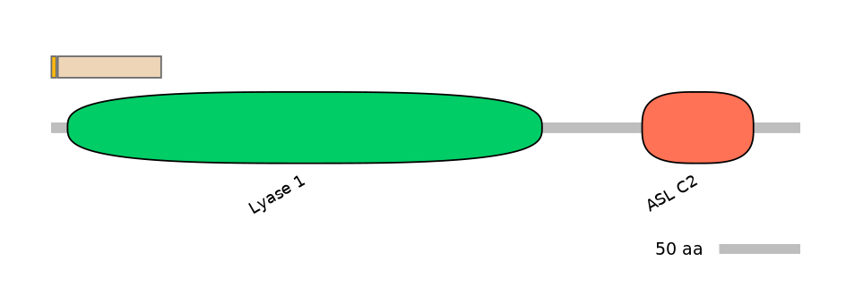 HsaINT0013363-EXC