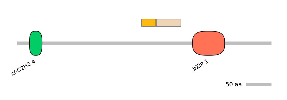 HsaINT0013790-EXC