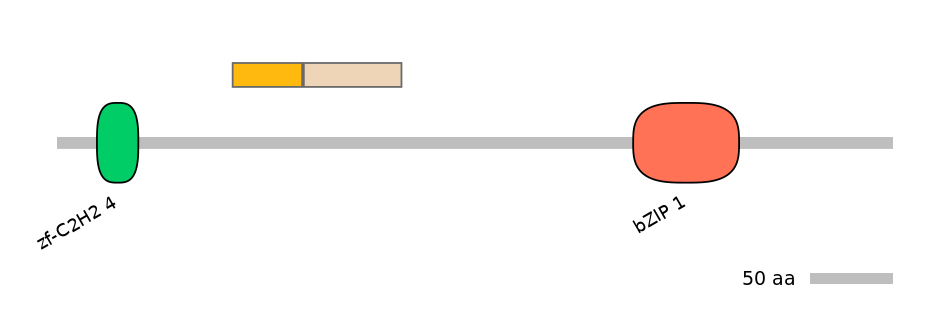 HsaINT0013799-EXC