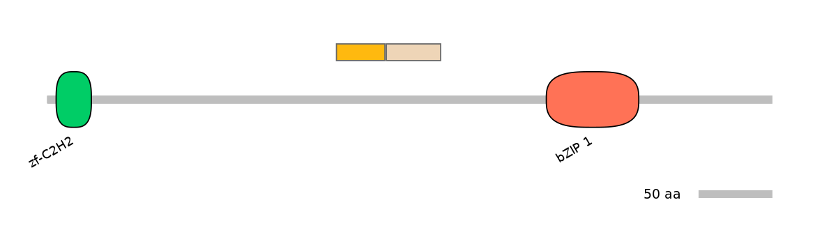 HsaINT0013828-EXC