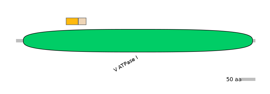 HsaINT0015070-EXC