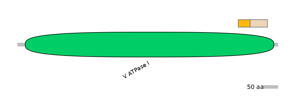 HsaINT0015084-EXC
