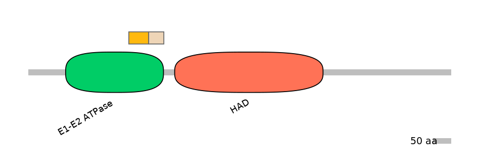 HsaINT0015300-EXC