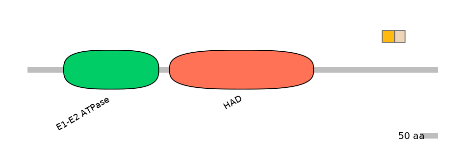 HsaINT0015323-EXC