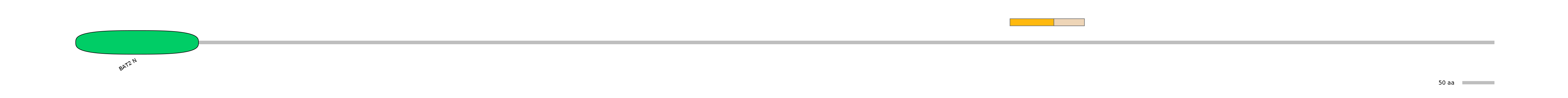 HsaINT0016675-EXC