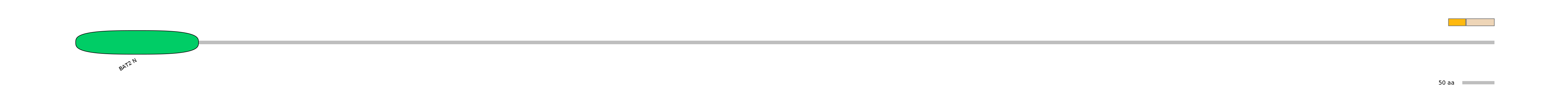 HsaINT0016691-EXC
