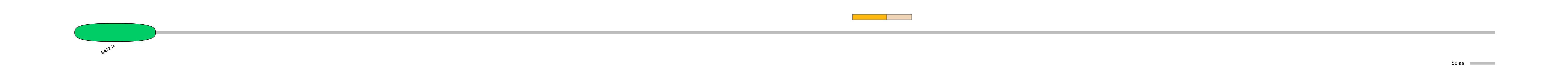 HsaINT0016706-EXC