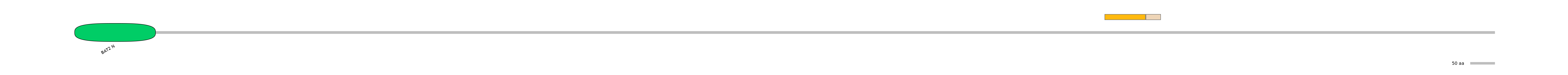 HsaINT0016712-EXC