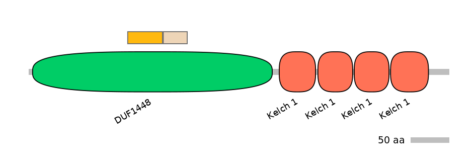 HsaINT0016925-EXC