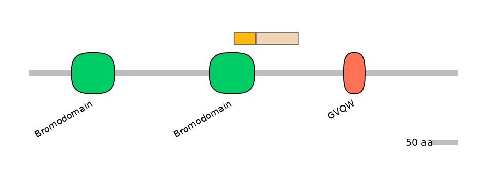 HsaINT0018485-EXC