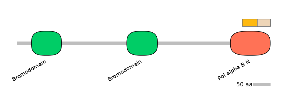 HsaINT0018488-EXC