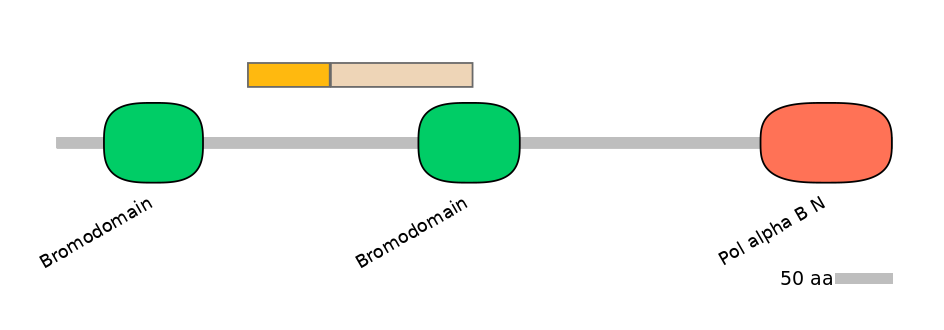 HsaINT0018492-EXC