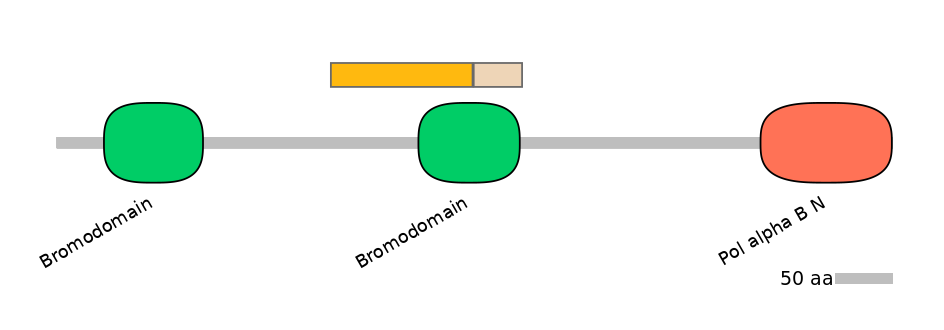 HsaINT0018493-EXC