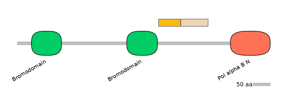 HsaINT0018495-EXC