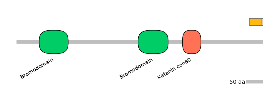 HsaINT0018499-EXC
