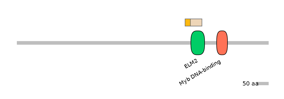 HsaINT0020749-EXC