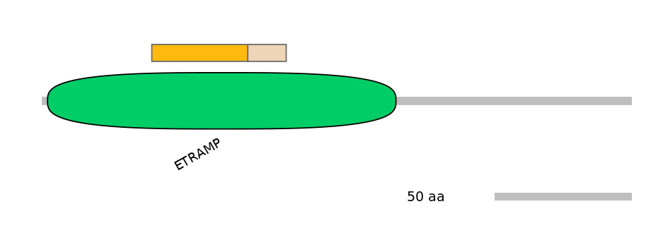 HsaINT0021659-EXC