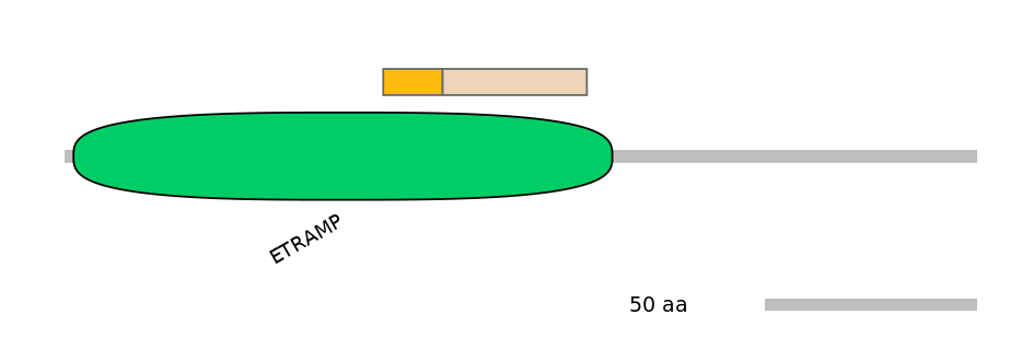 HsaINT0021660-EXC