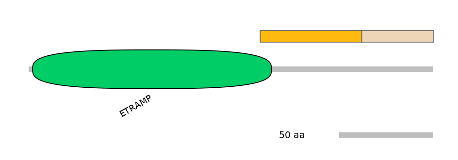 HsaINT0021662-EXC