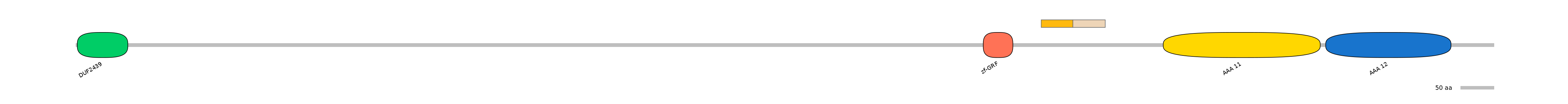 HsaINT0024053-EXC