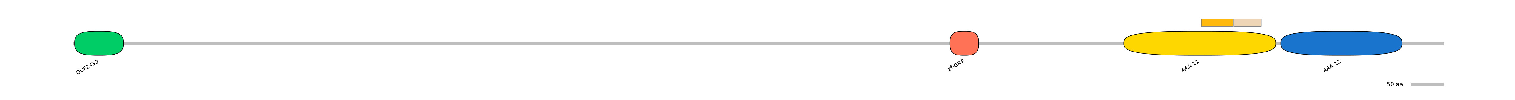 HsaINT0024060-EXC